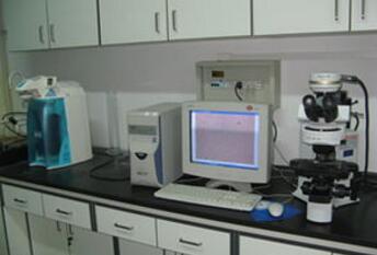 ҹϵy(tng)lims